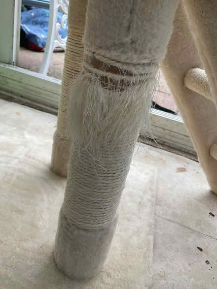 Photo of free Cat scratch tower (Mottingham) #2