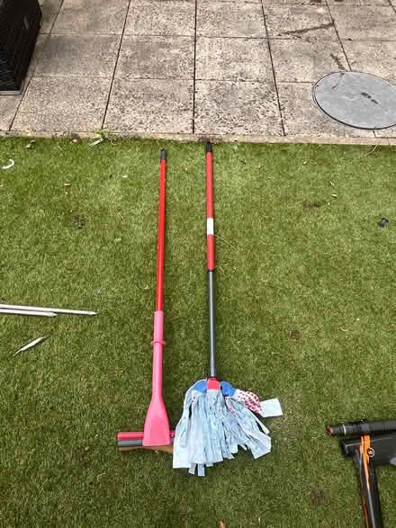 Photo of free Mops (Roehampton (SW15)) #1