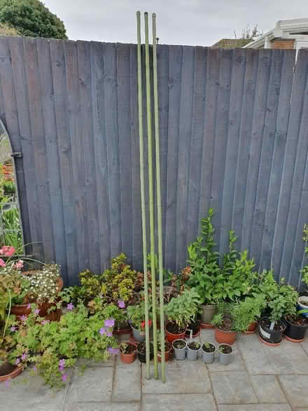 Photo of free Plastic coated garden poles, 2m long (Kidlington OX5) #1