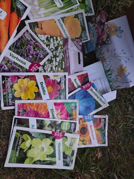 Photo of free Packs of seeds (unopened & opened) & pots (Whittlebury NN12) #3