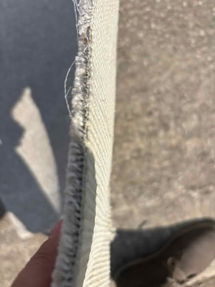 Photo of free 14 ft x 6 ft beige carpet (Longton Preston PR4) #2