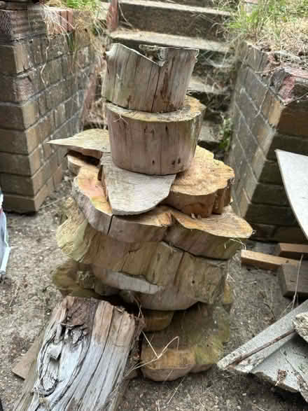 Photo of free Log offcuts (Hemel Hempstead) #1