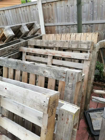 Photo of free Pallets (Derby chaddesden) #1