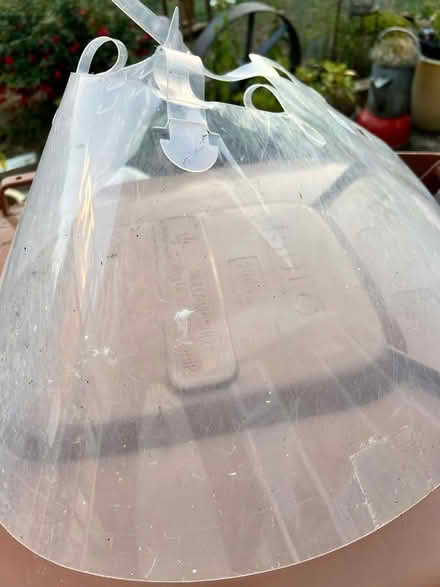 Photo of free 25cm clear pet collar (Panshanger AL7) #2