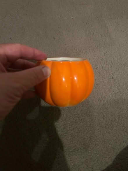 Photo of free Little pumpkin plant pot holder (Barking IG11) #2