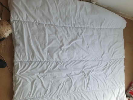 Photo of free Dbl duvet (Denton M34) #1