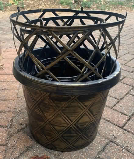 Photo of free Garden pot with integrated trellis (Rooks Nest SG1) #2