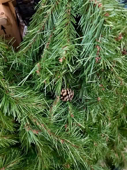 Photo of free Christmas tree 7ft (Bletchley MK3) #3