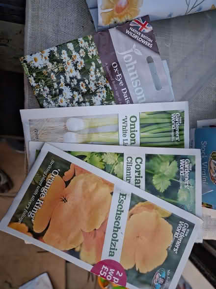 Photo of free Packs of seeds (unopened & opened) & pots (Whittlebury NN12) #1