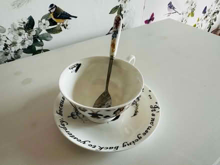 Photo of free A single cup & saucer (Abingdon OX14) #1
