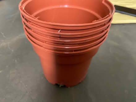Photo of free 5 plastic plant pots (Chalk Farm NW1) #2