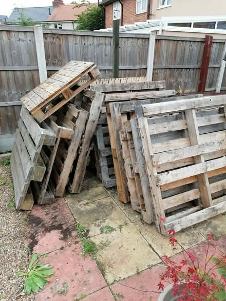 Photo of free Pallets (Derby chaddesden) #3