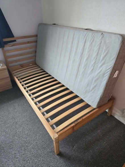 Photo of free Single Bed (Hest Bank LA2) #1