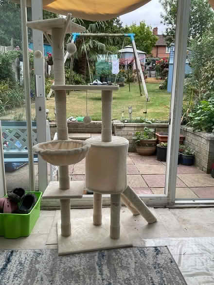Photo of free Cat scratch tower (Mottingham) #1