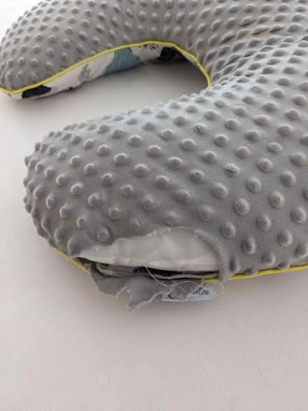 Photo of free Feeding Pillow (Ditchling Common BN6) #1