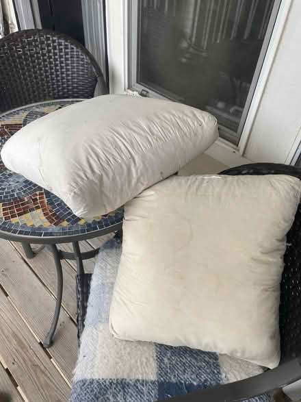 Photo of free Down pillows (Evans) #2