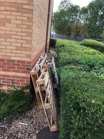 Photo of free Wooden pallets (Priory Business Park MK44) #1
