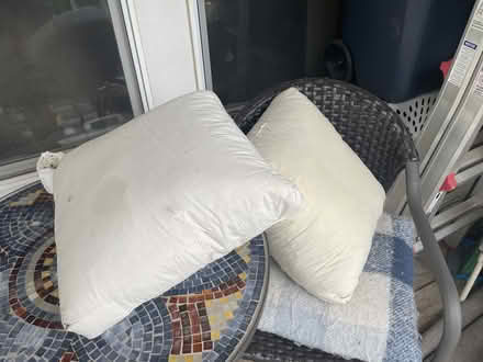 Photo of free Down pillows (Evans) #1