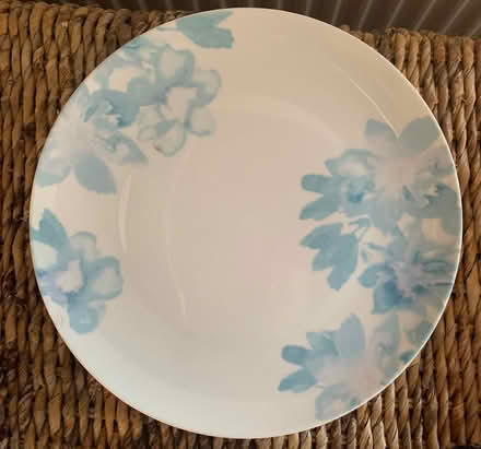 Photo of free 4 x large plates & 6 x small plates (Rooks Nest SG1) #2