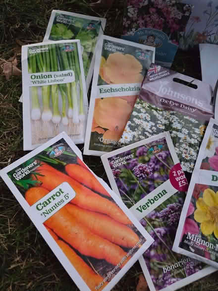 Photo of free Packs of seeds (unopened & opened) & pots (Whittlebury NN12) #2