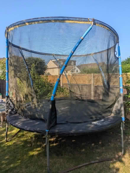 Photo of free Large trampoline (Brookwood) #1