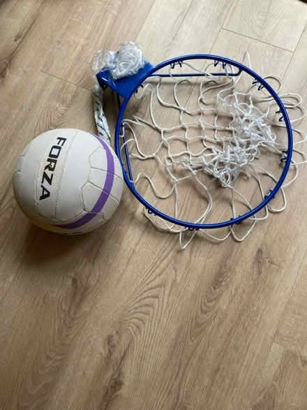 Photo of free Netball and wall mounted net (Harrogate Beckwithshaw HG3) #1