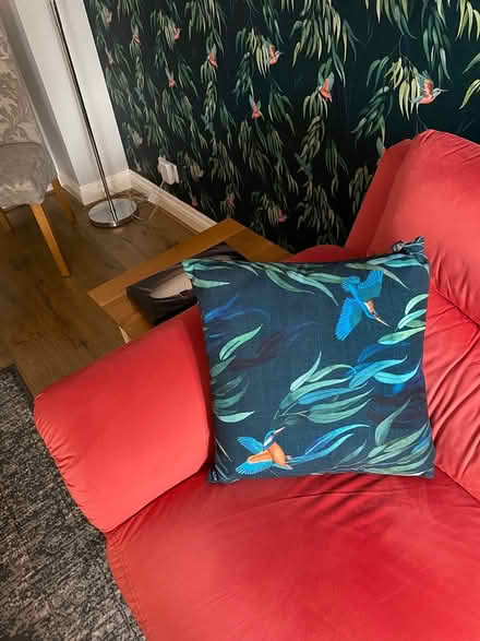 Photo of free Curtains (Southmoor OX13) #3