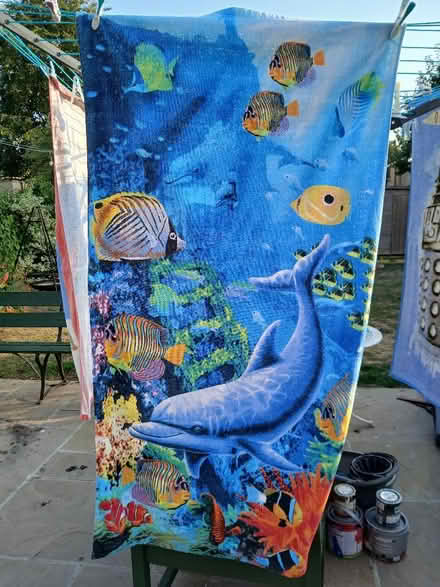 Photo of free Underwater scene towel (Odd Down) #1