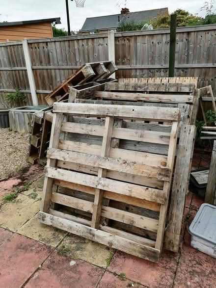 Photo of free Pallets (Derby chaddesden) #2