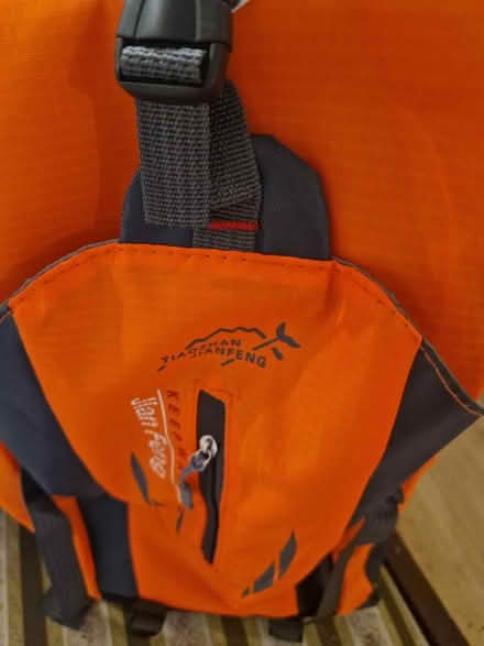 Photo of free 40L rucksack (SW8) #4