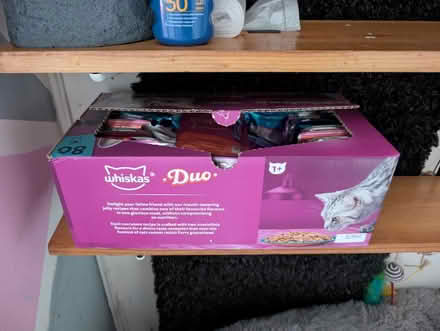 Photo of free Wiskers duo (DA16) #1