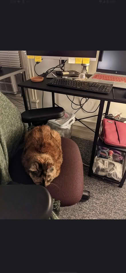 Photo of free desk (Ann Arbor / near Kerrytown) #1