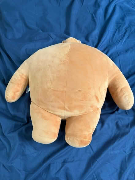 Photo of free Tiny headed kingdom bear “Pip” (Hackbridge SM5) #1