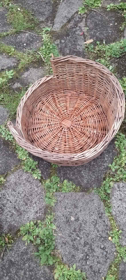 Photo of free cat or small dog basket (Dutton WA4) #1