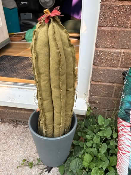 Photo of free Hand made Sewn Cactus (BA5) #1
