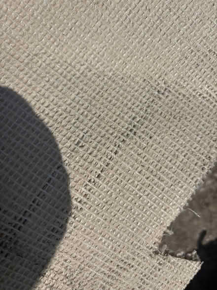 Photo of free 14 ft x 6 ft beige carpet (Longton Preston PR4) #1