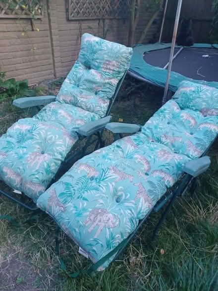 Photo of free Garden sun loungers / chairs (Central Watford WD18) #1
