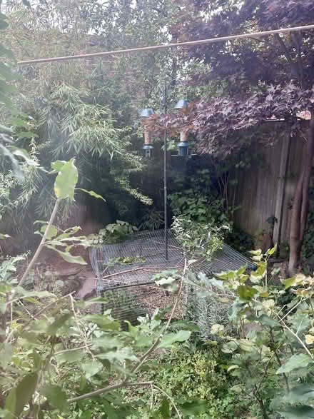 Photo of free Used but great condition No Wheat Wild Bird Seed Mix (Surbiton KT1) #3