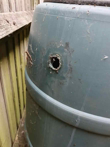 Photo of free Water butt (Kidlington OX5) #2