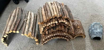 Photo of free Reptile / Animal Hides (CH42) #1