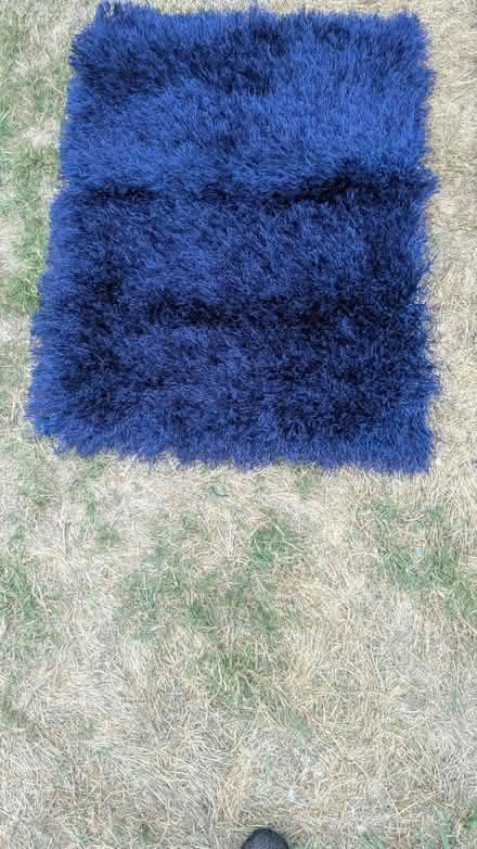 Photo of free Blue rugs (RG24 Old Basing) #2