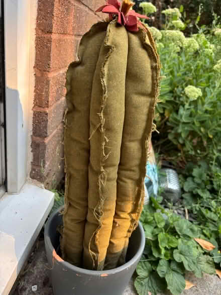 Photo of free Hand made Sewn Cactus (BA5) #3