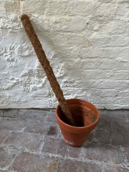 Photo of free Plant pot & coir pole (Shrewsbury SY1) #1