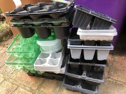 Photo of free Pile of seed trays (Wheathampstead AL4) #1