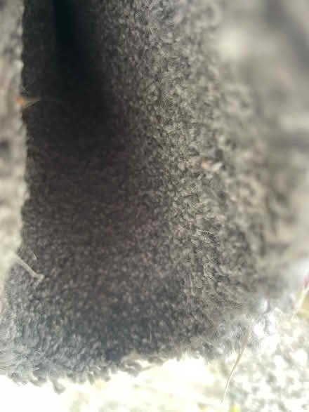 Photo of free Used grey fleck carpet 13’x11’ approximately (Oxford OX4) #2