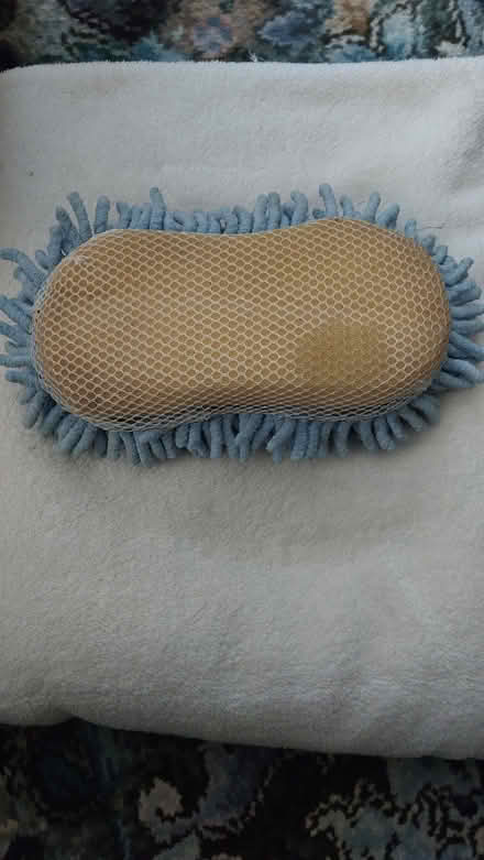 Photo of free blue sponge (dorset BH12) #2