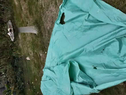 Photo of free Plastic Sheet (Tenterden TN30) #1