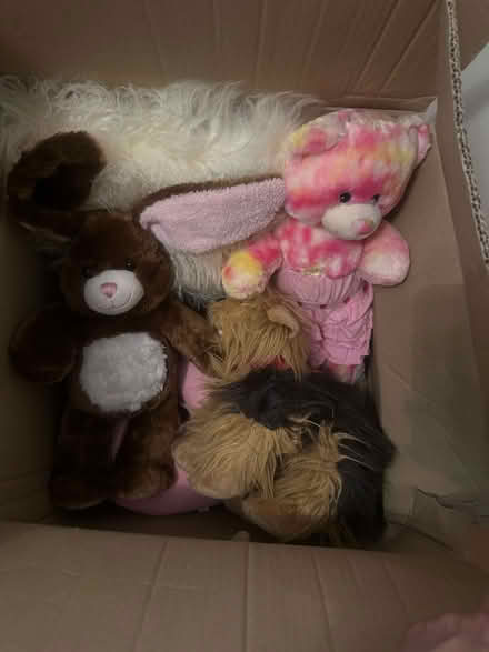 Photo of free Toys for children (West Heath GU14) #3