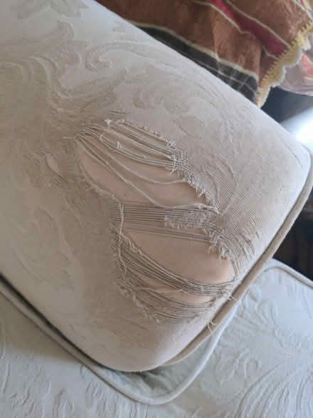 Photo of free 3 seater sofa (Hartington Road BN2) #2