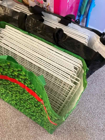 Photo of free C and c animals cage (Shrewsbury) #2